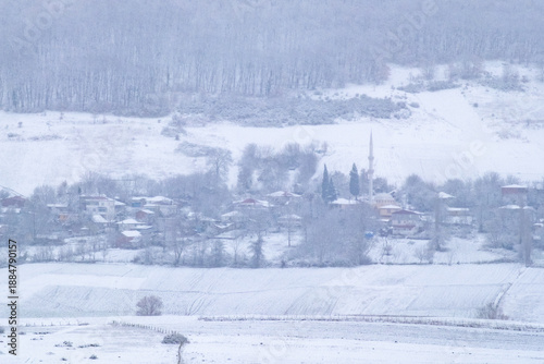snowy village view