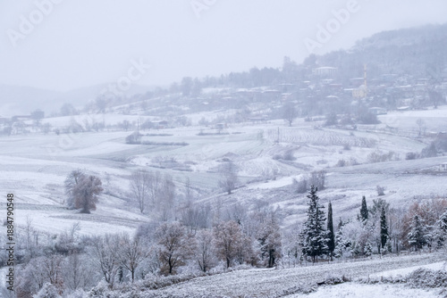 snowy village view