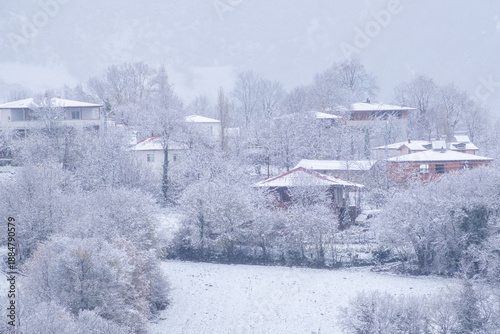 snowy village view