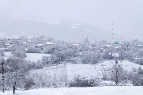 snowy village view