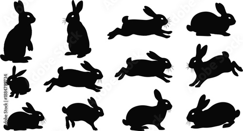 Set of twelve black rabbit silhouettes in various poses, isolated on white background, perfect for animal design, pet graphics, and educational vector projects.