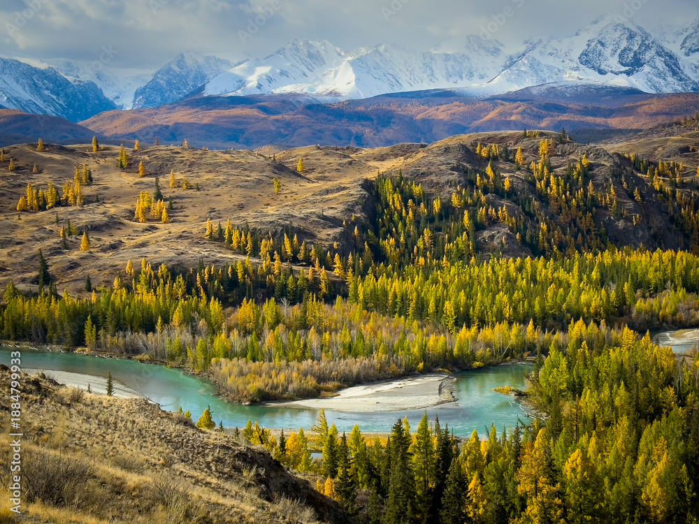 Fototapeta premium Autumn colors spill across rolling hills beside turquoise river. Snowy peaks rise in distance. Forests glow with gold and green creating peaceful rugged landscape.