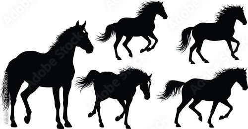 Elegant running horse silhouettes in motion on white background, showcasing wild energy, speed, beauty and grace—perfect for equestrian, nature, western, and animal themed design projects.