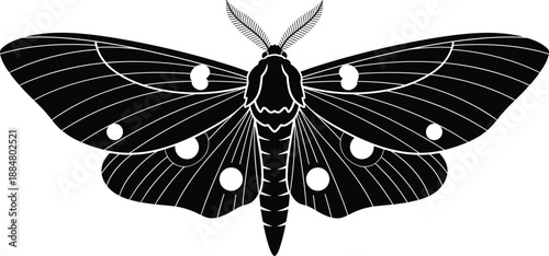 Moth insect silhouette with symmetrical wings representing nocturnal wildlife nature entomology and decorative pattern art in black and white vector illustration