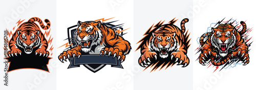 Four aggressive tiger mascot illustrations with lightning and shields roaring