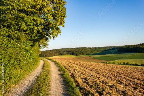 Scenic hiking trail through farmland in Taubertal valley, Werbach, Germany