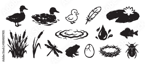 Collection of black hand-drawn pond wildlife silhouettes including a duck, frog, dragonfly, fish, and lily pad, presented in a graphic, rustic, and illustrative stamp style