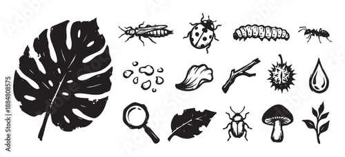 Collection of black nature icons featuring insects, leaves, a mushroom, and a magnifying glass in a rustic, hand-drawn linocut style for botanical or entomology themes