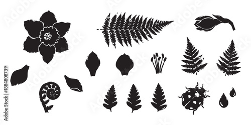 Collection of black botanical illustrations featuring a daffodil flower, fern fronds, petals, a ladybug, and water drops in a simple, graphic stamp print style