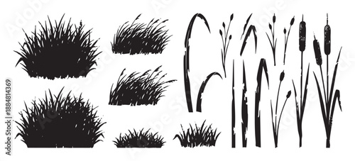 Black silhouette set of various grasses, reeds, and cattails showing different botanical shapes with a hand-drawn, distressed texture in a graphic vector style