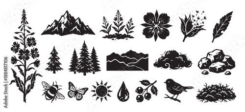 Set of black hand-drawn nature symbols including mountains, pine trees, flowers, a bird, and a bee, rendered in a rustic, vintage linocut or woodcut printmaking style