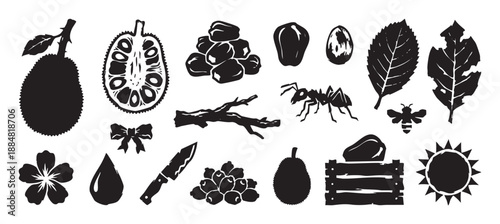 Set of black jackfruit icons in a linocut style showing the whole fruit, cross-section, seeds, and related nature elements like an ant, bee, leaves, flower, and knife