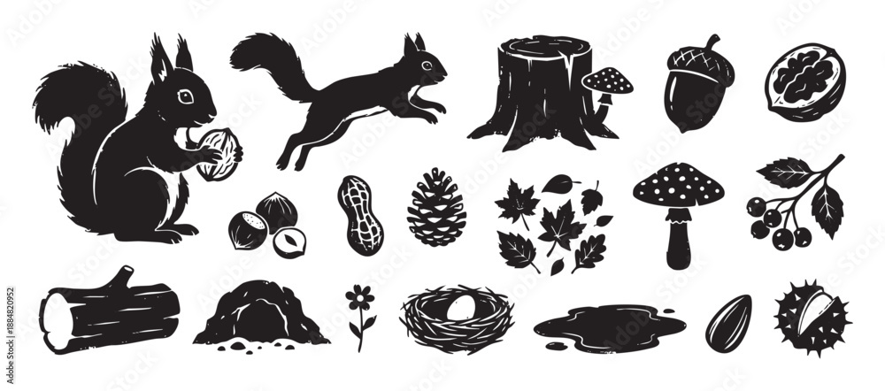 Obraz premium Black forest animal and nature illustrations set with a squirrel, nuts, mushrooms, and leaves in a graphic woodcut style, showing various woodland elements for design