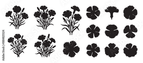Black carnation flower silhouettes in a set of various bouquets and individual blooms, showcasing a graphic, minimalist style for botanical design elements and floral illustrations