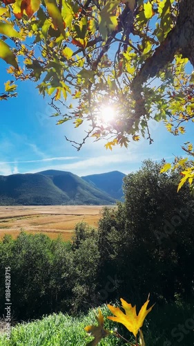 autumn landscape 