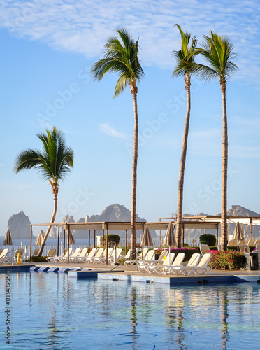 Palm trees towering swimming pool chairs and beds near poolside
