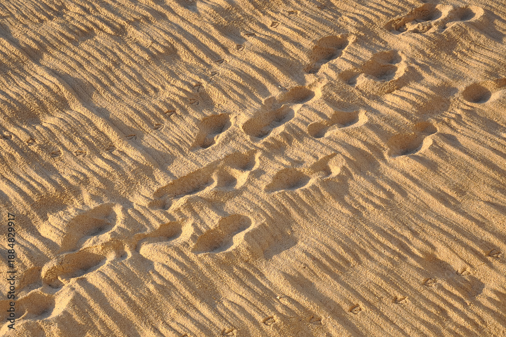 Obraz premium Footprints in the white sand