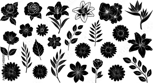 Nature and Floral Vector Silhouettes Collection: Black  White Flowers, Roses, Lilies, Daisies, and Botanical Leaves for Design Assets