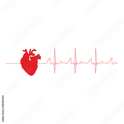 Heart health ecg vector illustration