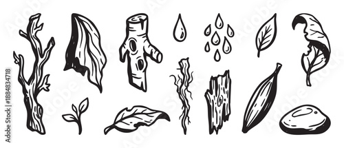 Hand-drawn collection of various forest and nature icons featuring a tree branch, leaves, bark, water droplets, and a rock, illustrated in a black and white doodle sketch style