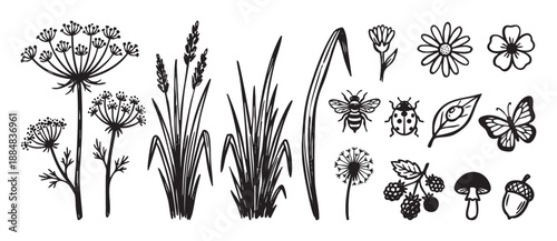Hand-drawn collection of black and white nature icons including a bee, butterfly, ladybug, flowers, grass, mushroom, and acorn with a charming, simple block print aesthetic