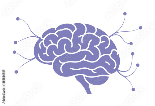 A purple illustration of a human brain with white lines and purple dots on a white background