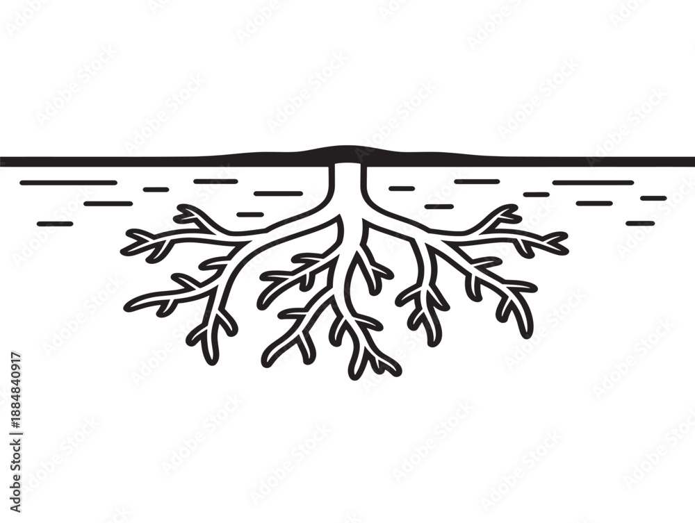 Foto Simple root system illustration