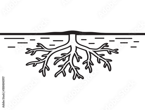 Tableau sur toile Simple root system illustration