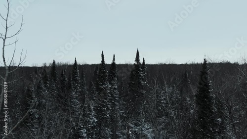 drone flying over snow covered forest