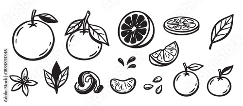 Set of hand drawn orange fruit illustrations in a black and white sketch style, featuring whole citrus, slices, wedges, leaves, a blossom, zest, and juice drops