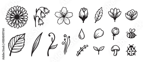 Hand drawn botanical illustration set with various flowers, leaves, insects like a bee and ladybug, and other nature elements in a minimalist black ink line art style
