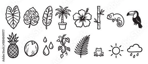 Set of hand-drawn tropical icons featuring jungle plants, exotic animals, fruits, and weather symbols in a simple black and white doodle style for nature-themed designs