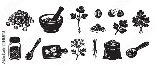 Collection of black ink coriander icons showing the plant, seeds, and kitchen tools in a hand-drawn woodcut style for culinary and botanical concepts