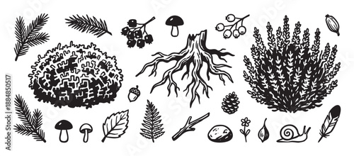 Set of hand-drawn forest elements including a tree stump, mushrooms, moss, berries, a snail, and a feather in a rustic black and white linocut style