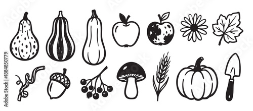 Set of hand-drawn autumn harvest icons featuring a pumpkin, gourds, apples, and a mushroom in a simple black and white doodle style illustration for seasonal design