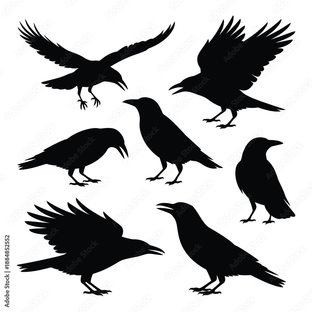 Fototapeta premium Black crow silhouettes collection