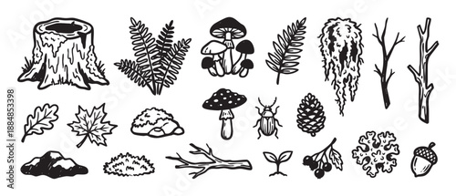 Hand-drawn black and white forest elements collection featuring a tree stump, mushrooms, ferns, leaves, and an acorn in a rustic, woodcut illustration style for nature-themed design