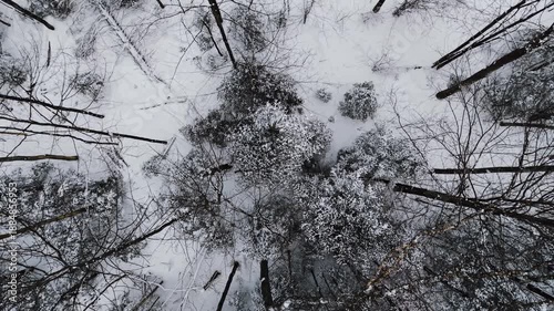 drone flying over snow covered forest