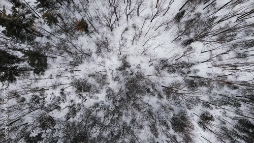 drone flying over snow covered forest