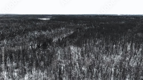 drone flying over snow covered forest