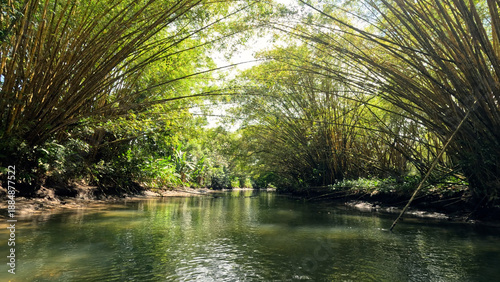 Fotografija Bamboo stalks forming a natural arch over a calm tropical river flowing through