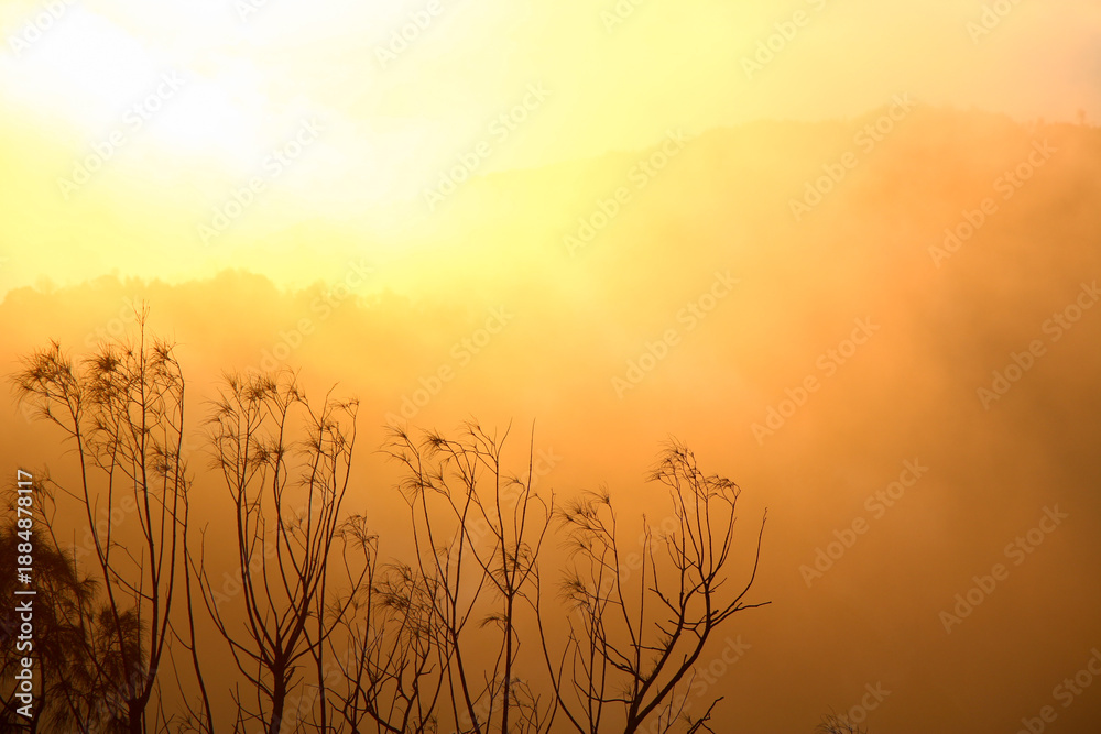 Naklejka premium sunrise over the hills