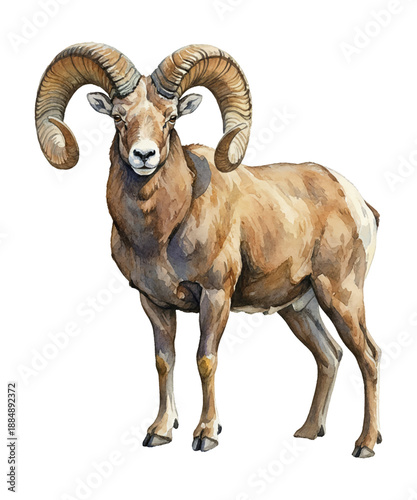 Majestic Bighorn Ram Standing on Rocky Terrain with Distant Mountains in Watercolor Art Style