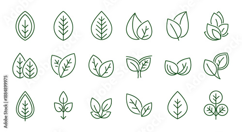 Set of twenty simple green leaf icons representing various plant shapes and styles.