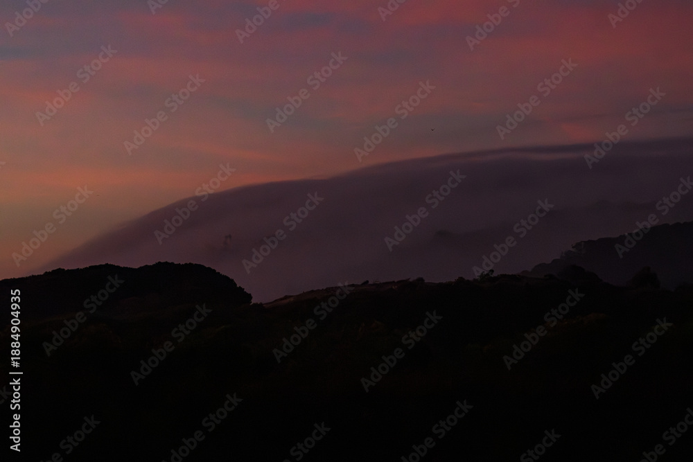 Fototapeta premium bruma