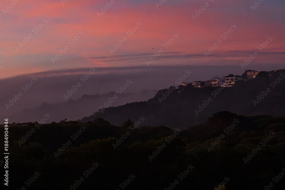 Fototapeta premium bruma