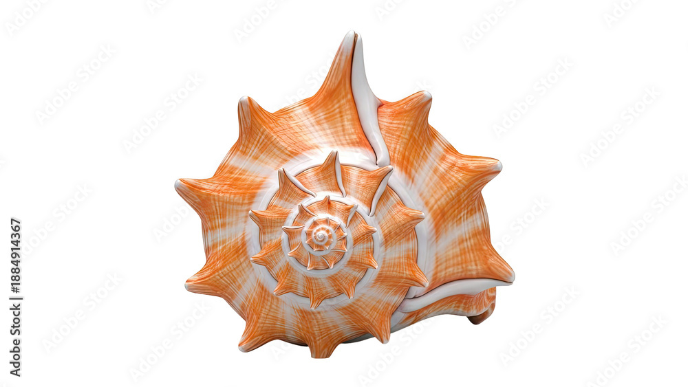 Obraz premium Orange and White Spiked Seashell