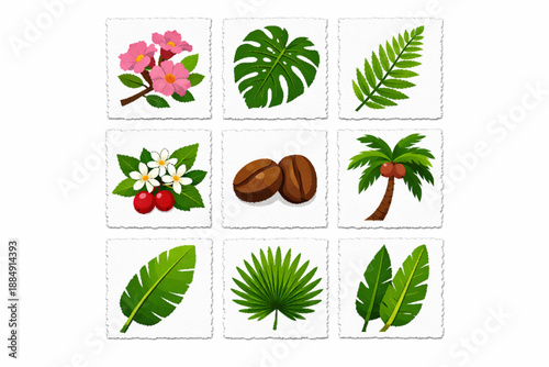 El Salvador native flora icons in torn vector texture style