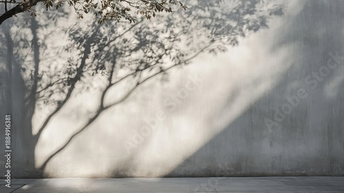 Shadows of Trees Dancing on a Serene Textured Wall Surface