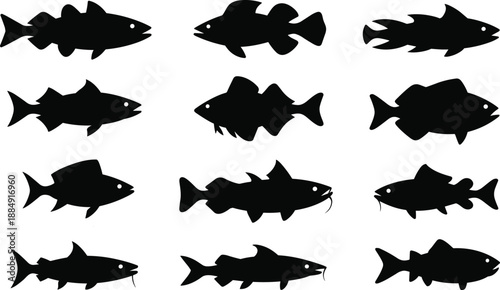Fish silhouette vector collection, black aquatic animal shapes, underwater wildlife illustration, fishing and marine life design, nature and sea species icon set
